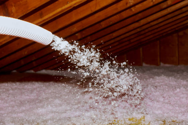 Best Insulation Materials and Products in Abbeville, GA